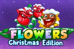 Flowers Christmas Edition